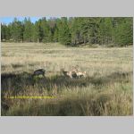 20060820_19BryceCanyon_017 copia.jpg